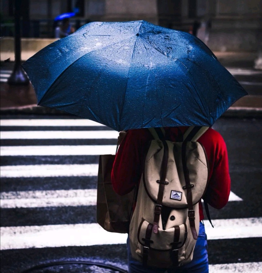 【华夏文学社】七绝 小雨/吴学富（图2）