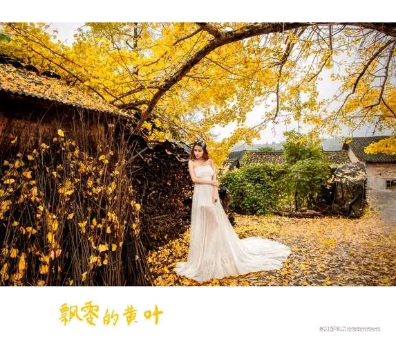 《解语三秋爱》作者:黑子【主播:知语】【桃园国际诗歌集团】用声音传递温暖以朗诵致敬人生♬（图6）