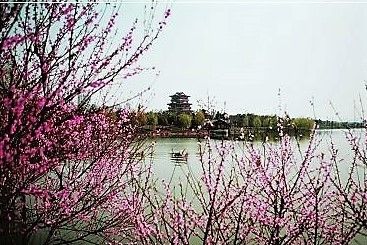 【沈俊杰先生之《联题黄州遗爱湖公园》点评】点评:风行绿野(图2)