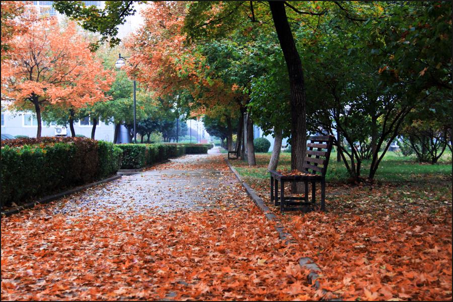 《冬雨感怀》文/晚渡(图3)