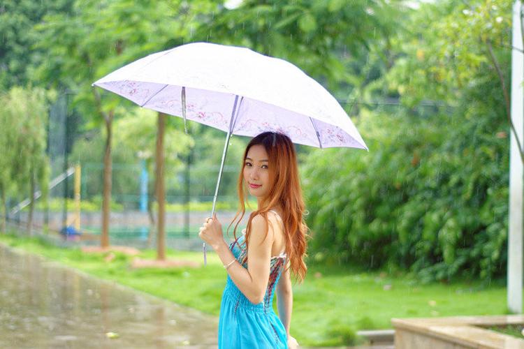 《冬雨感怀》文/晚渡