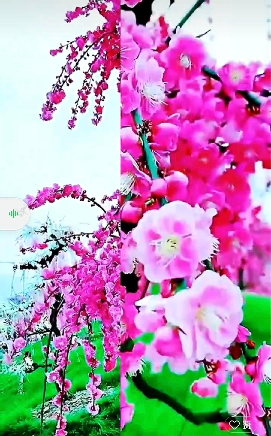 【都市头条向幸福出发编辑部】第540期 一米阳光 主播 陈丽（图2）
