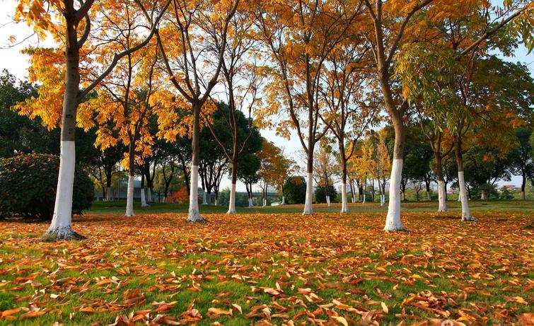【都市头条向幸福出发编辑部】第541期 风景 主播 陈丽（图4）
