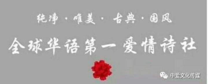 《中国爱情诗刊》【中国爱情诗人档案】（第4960期)江苏诗人：夏韶冲的诗（图10）