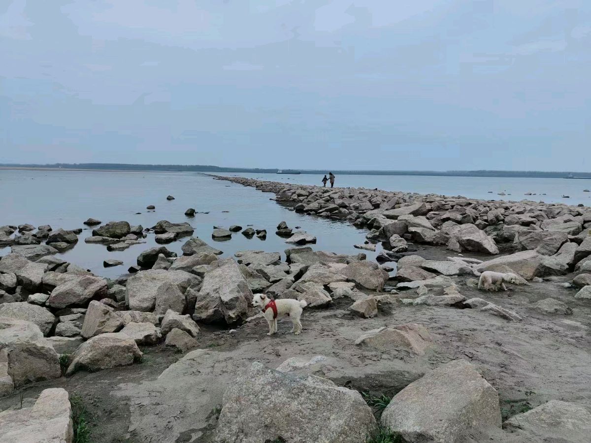 水龙吟罢永遇乐•郝穴铁牯牛怀古*胡从发/湖北荆州【冰心文化传媒】（图8）