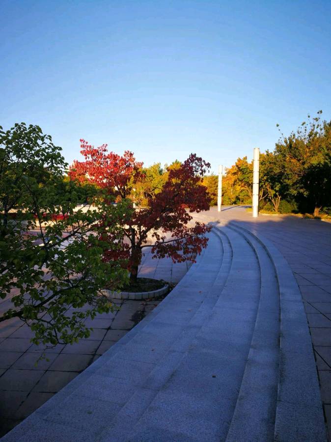 【燕赵文学】散文：深秋的早晨（河北/李志甫）