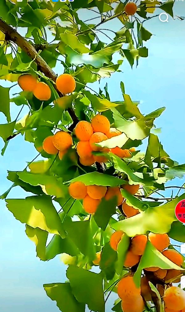 【华夏名篇】分享优秀诗人方亮老师《拥抱》请欣赏（图15）