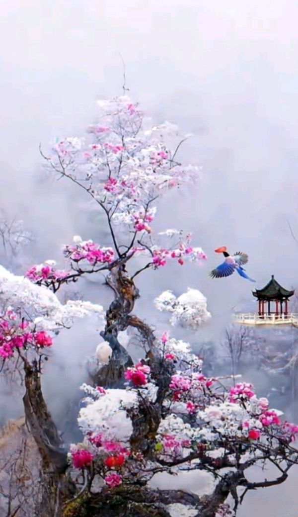 【华夏名篇】分享陈雪云《感皇恩•浅冬》请欣赏（图11）