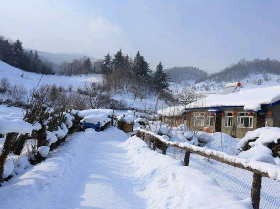 《九江文学社：北京头条》《2022年初冬北国雪咏》（组诗）》（图4）