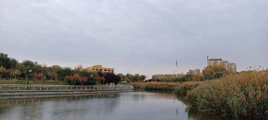 《蝶恋》联机全球发布袁华成精品诗歌（图7）