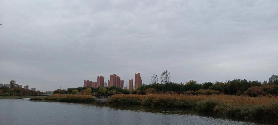 《蝶恋》联机全球发布袁华成精品诗歌（图9）