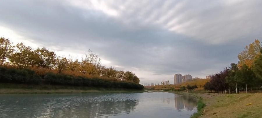 联机全球发布袁芳精品诗歌欣赏（图3）