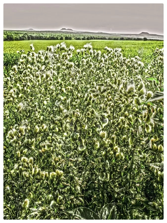 记忆的小舟∥作者:王砾∥朗诵/摄影:老菩提(图3)