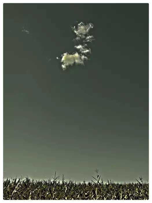 记忆的小舟∥作者:王砾∥朗诵/摄影:老菩提(图10)