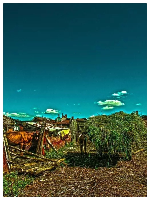 记忆的小舟∥作者:王砾∥朗诵/摄影:老菩提(图11)