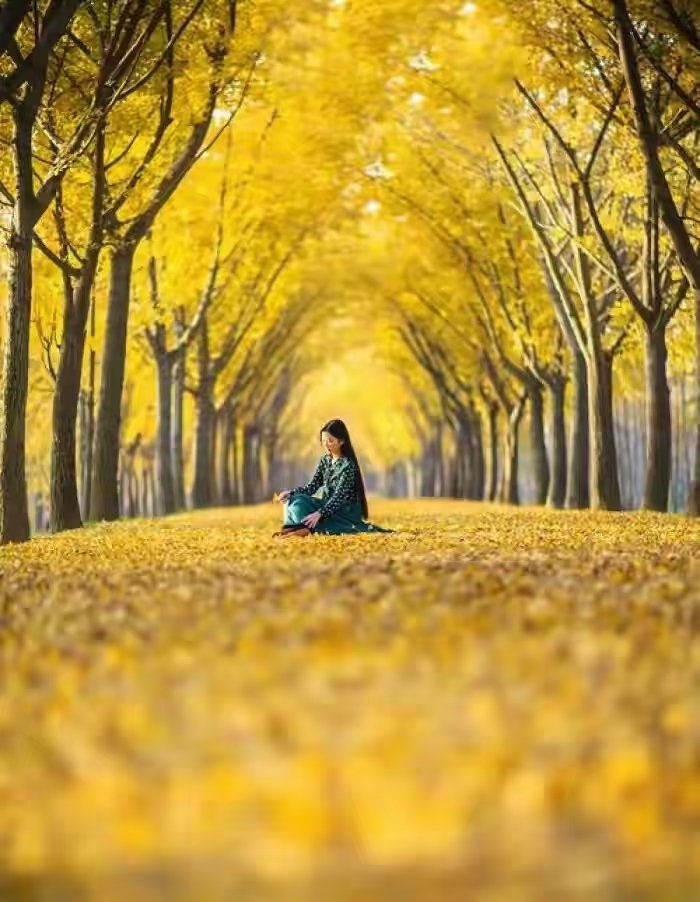【都市头条向幸福出发编辑部】第544期 秋实 文 如月 主播 天乐