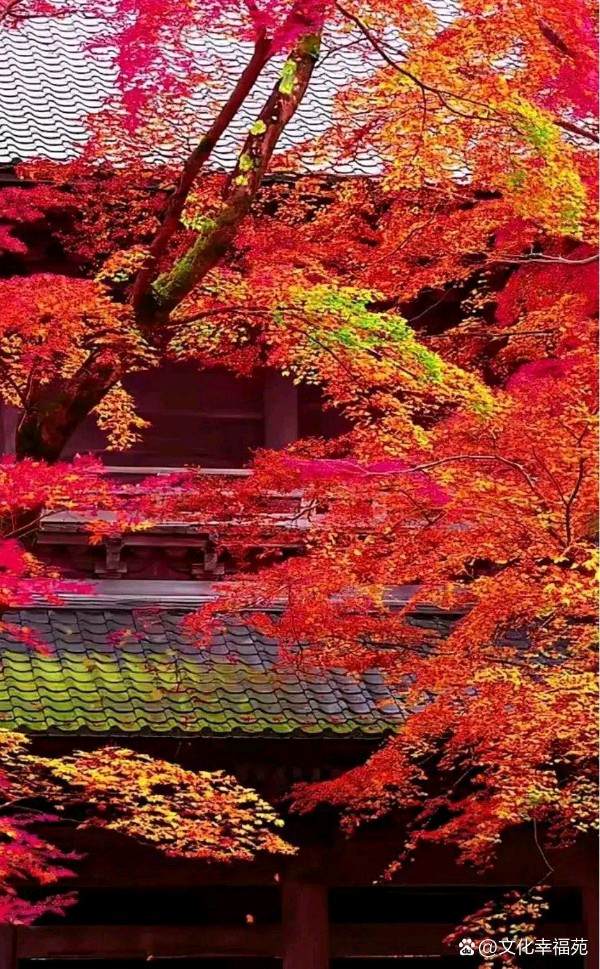 【中国齐鲁风诗词社】分享李致勤《边疆吟》四首请欣赏（图10）