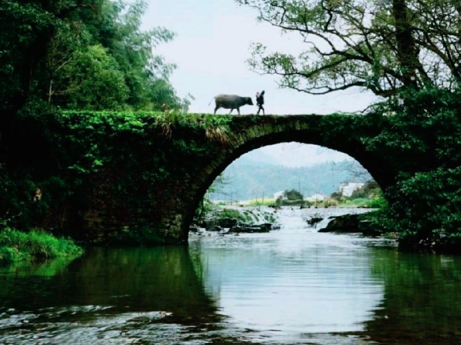 《世界名家》《九江文学社:北京头条》《著名艺术家沈志昂先生箴言精选》(图2)