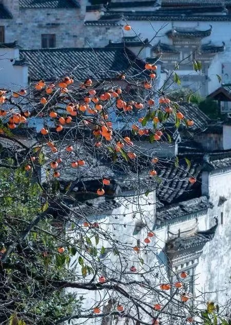 《世界名家》《九江文学社:北京头条》《著名艺术家沈志昂先生箴言精选》(图15)