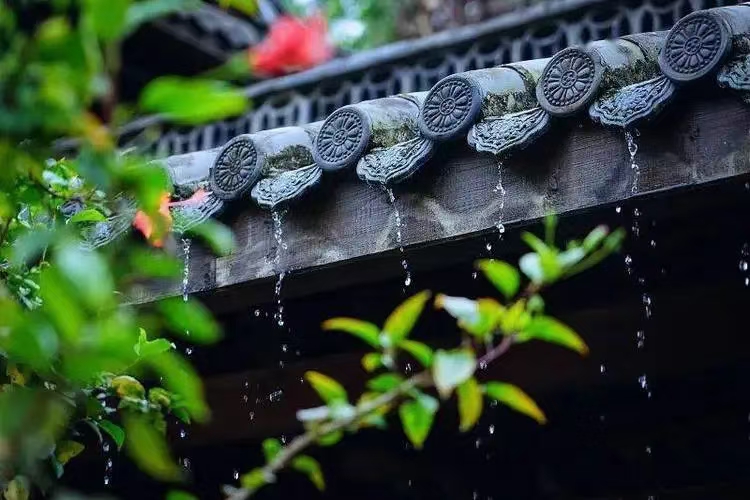 【名家精品】作者/风清【都市头条采菊东篱文学社】