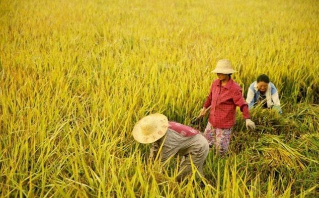 风雅诗社·第三十五期·自由诗篇（图10）
