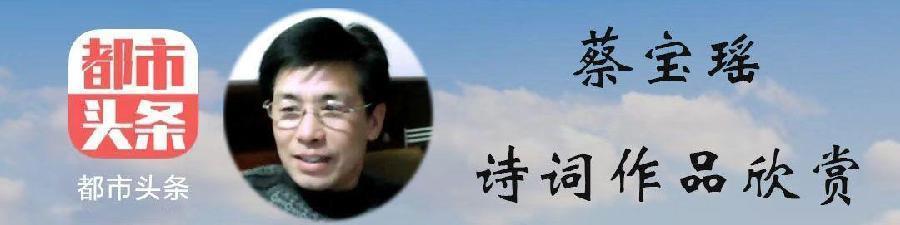 中华诗艺社黑龙江分社推介/蔡宝瑶:风筝(外三首)（图3）
