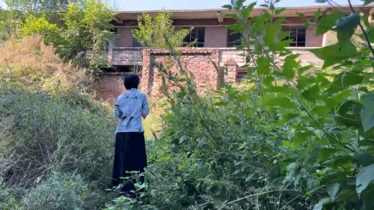 【燕赵文学】风雨中的坚持（河北/张海霞）（图3）