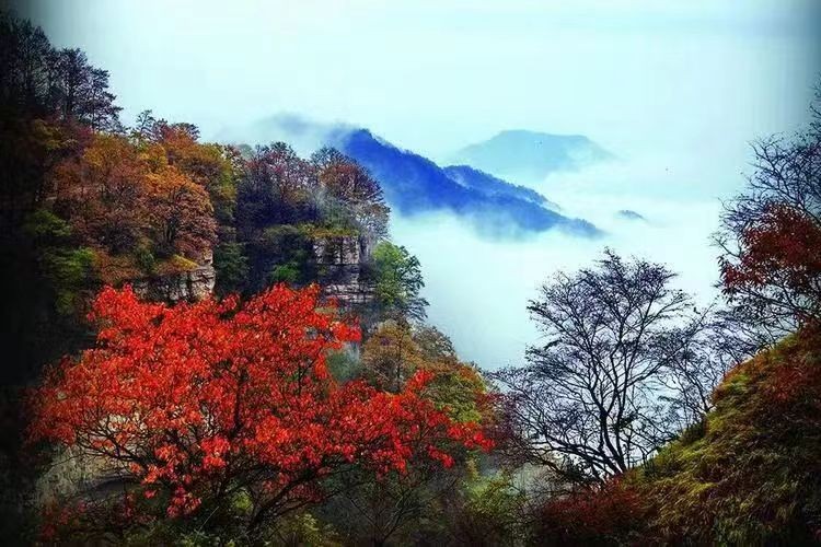 《九江文学社：有声文学平台》《名家专刊》《丘新梅先生佳作欣赏（组诗五首）》（图4）