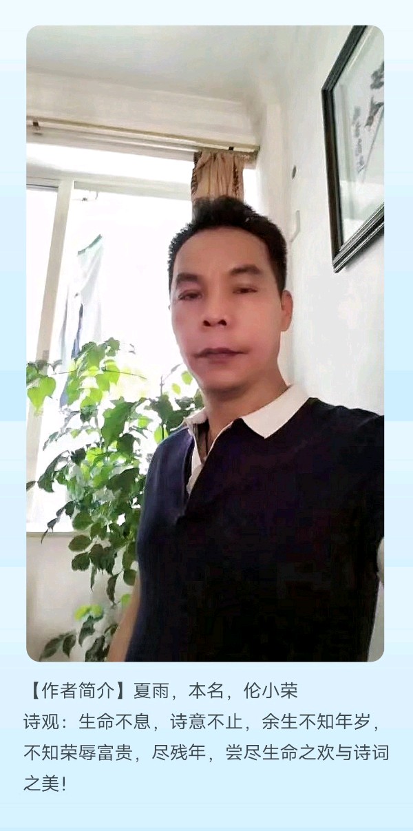 【上海头条】诗生活‖夏雨 诗三首（图2）