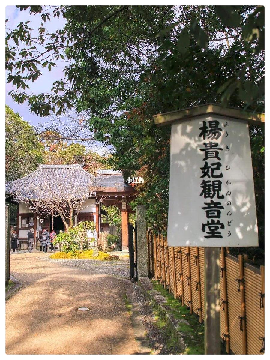 一个女人的背影∥作者:湖畔烟树∥朗诵:老菩提(图8)