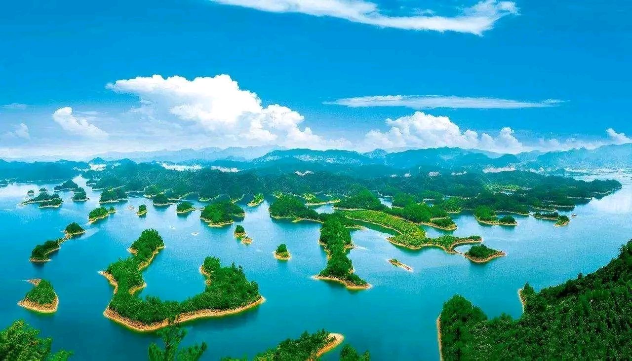 欣赏佳作 梅鹤忘机老师五首七绝《芦花》、《池塘》、《乡关》∴《客路哦》（图6）