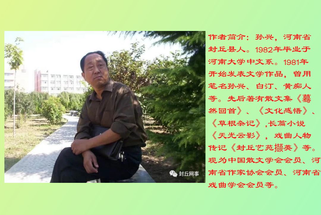 苌有谋/作者/孙兴(图9)