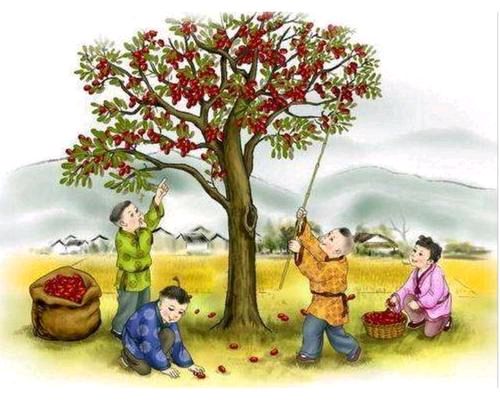 苌有谋/作者/孙兴(图5)
