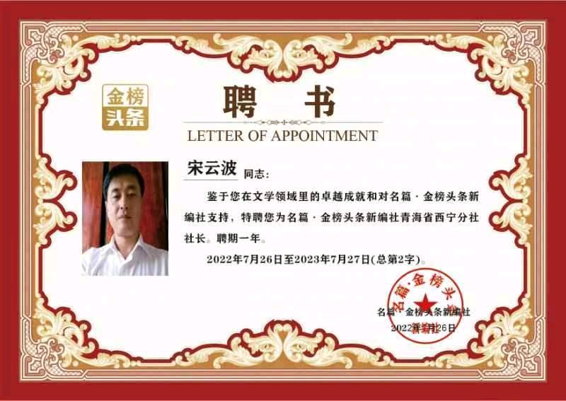 【都市头条】推介优秀作家诗人宋云波《那年夏天 我在新农村的故事》请欣赏(图11)