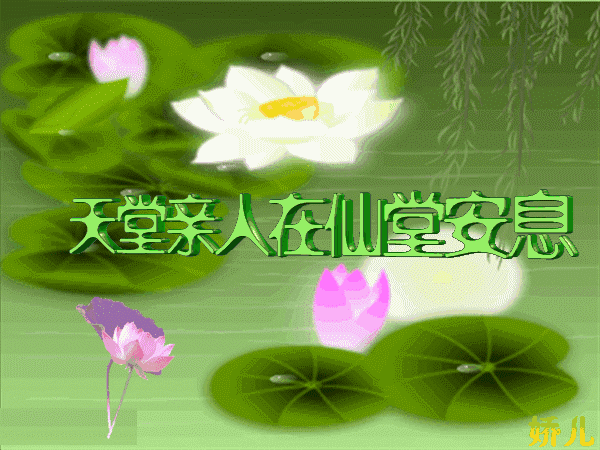 【经典推荐】毕颖秋//忆姑妈｛思念｝（图3）