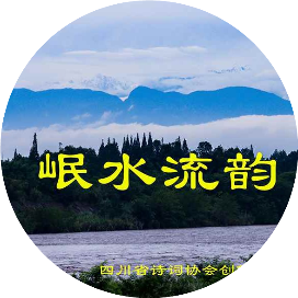 岷水流韵2022第32期（总第150期）（图24）