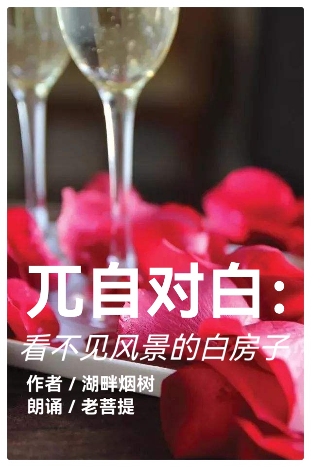 《兀自对白:看不见风景的白房子》作者:湖畔烟树 朗诵:老菩提(图2)