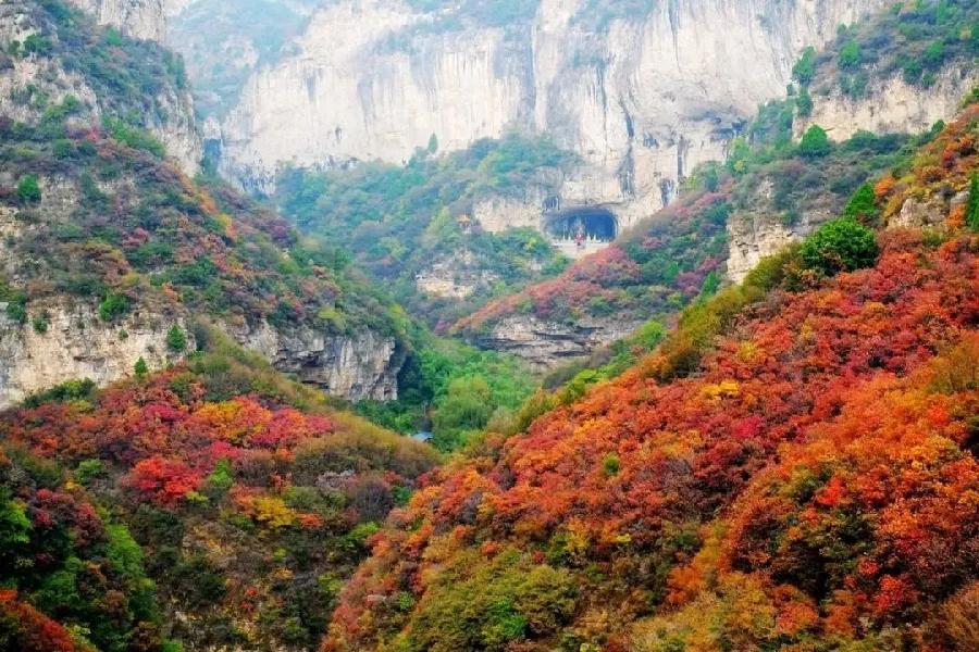 【新诗大观】云梦山上红叶醉(散文)||文/杜海军(图3)