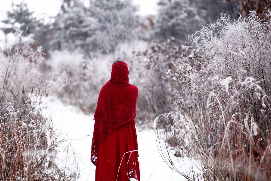 中华诗艺社黑龙江分社推介/诗人林杨:听雪（图4）