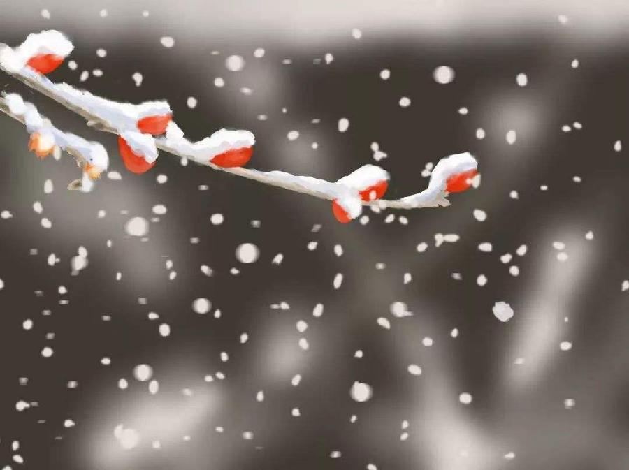 中华诗艺社黑龙江分社推介/诗人林杨:听雪（图5）
