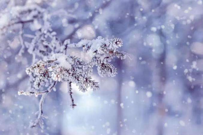 中华诗艺社黑龙江分社推介/诗人林杨:听雪（图7）