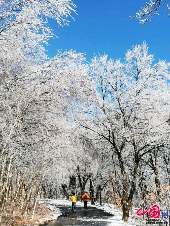 七律· 庐山雪竹 作者:吴云钦(图2)