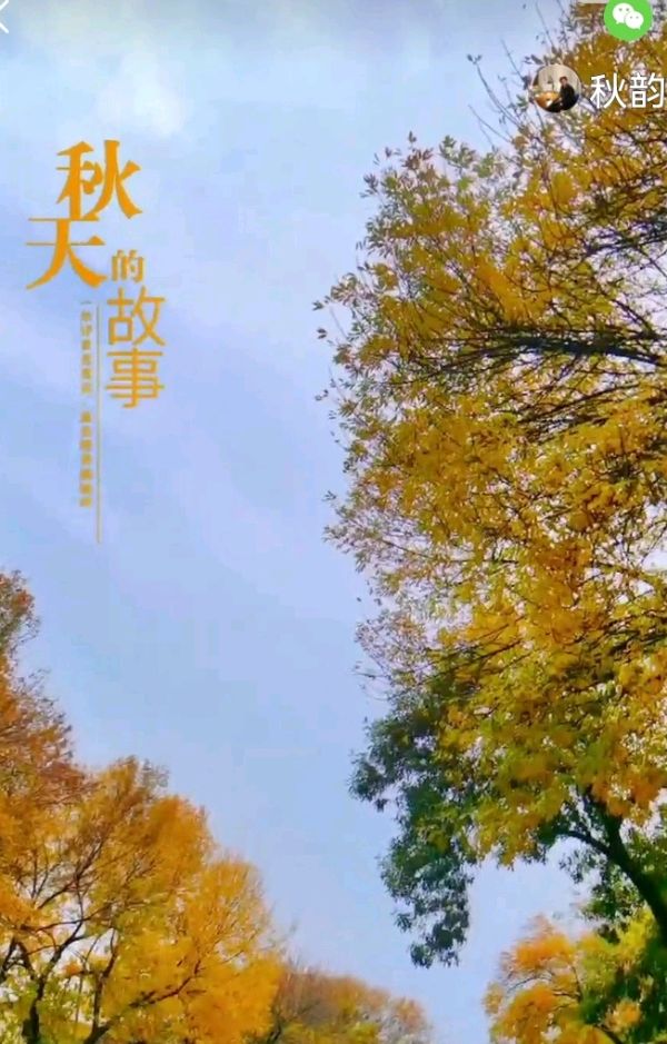 七律：立冬感吟（图2）