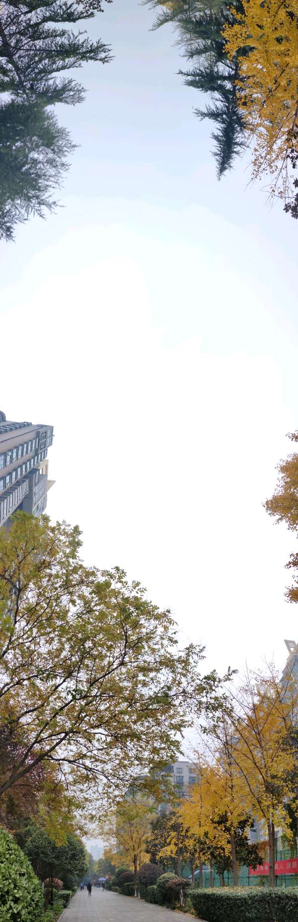 〖锦园生活·纪事〗〔选編之十八〕（图4）