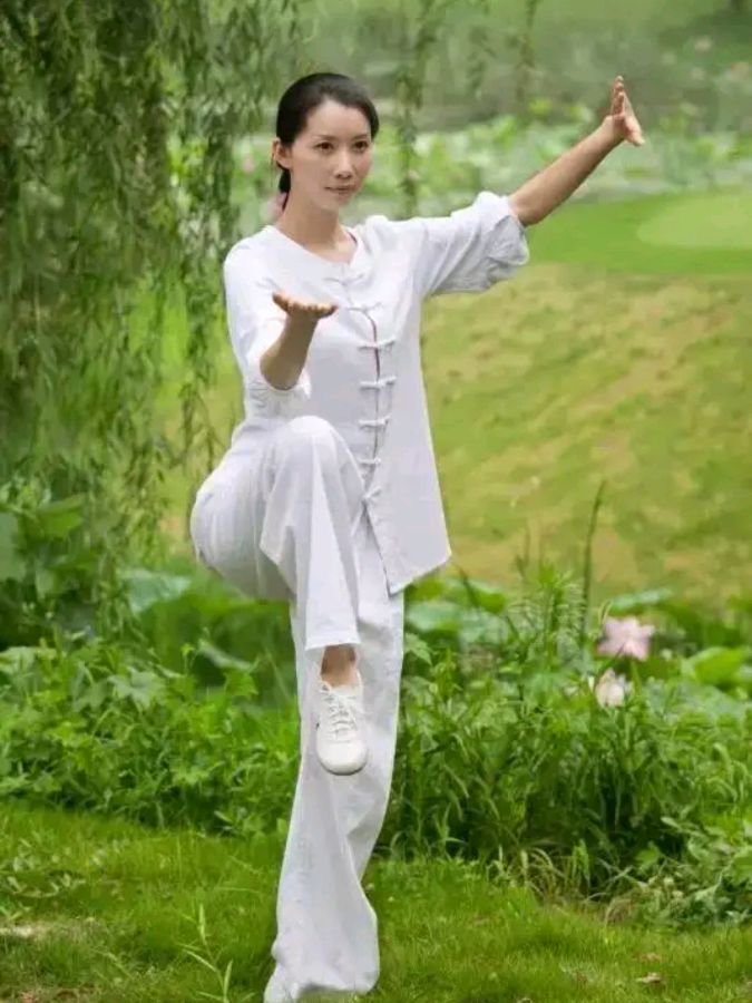 自由体诗《雪莹》作者:金明（图2）