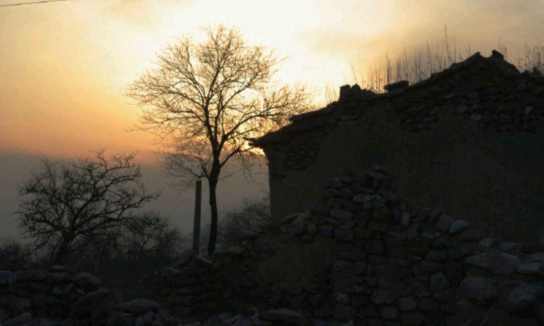 唐保军，你在哪里（图2）