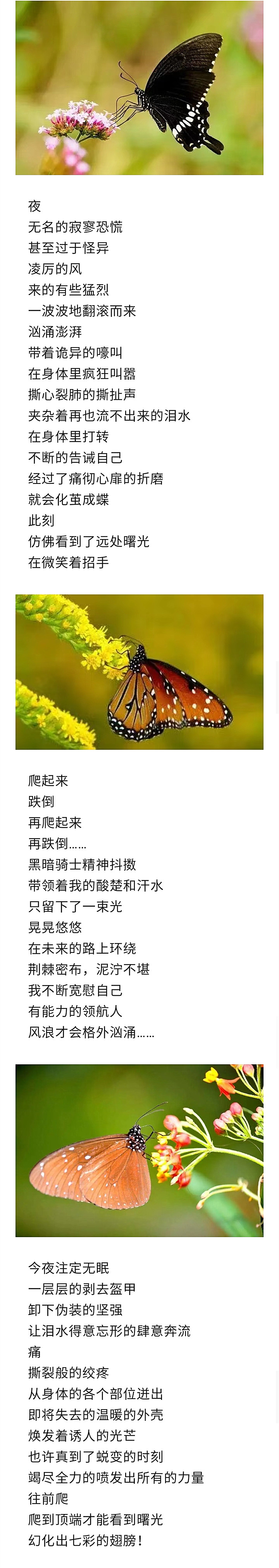 寰俊鍥剧墖_20221121152751_鍓湰.jpg