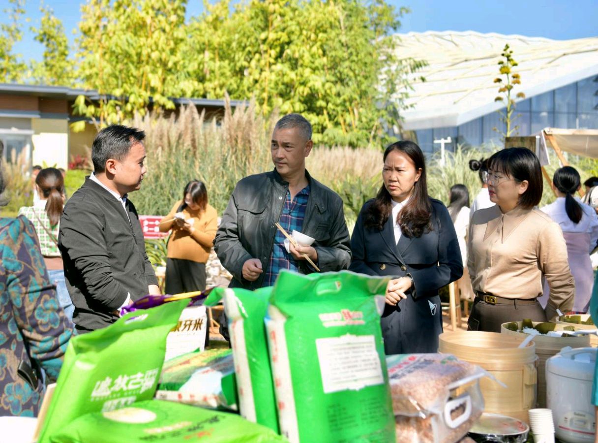 云南芒市:“稻”亦有道——“稻田风物文化周”用艺术唤醒田园记忆(图5)