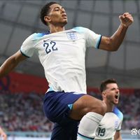 忆江南-志清多哈世界杯看球之2～4忆江南-英格兰零零后创历史*文/冯志清（上海）【冰心文化传媒】（图5）
