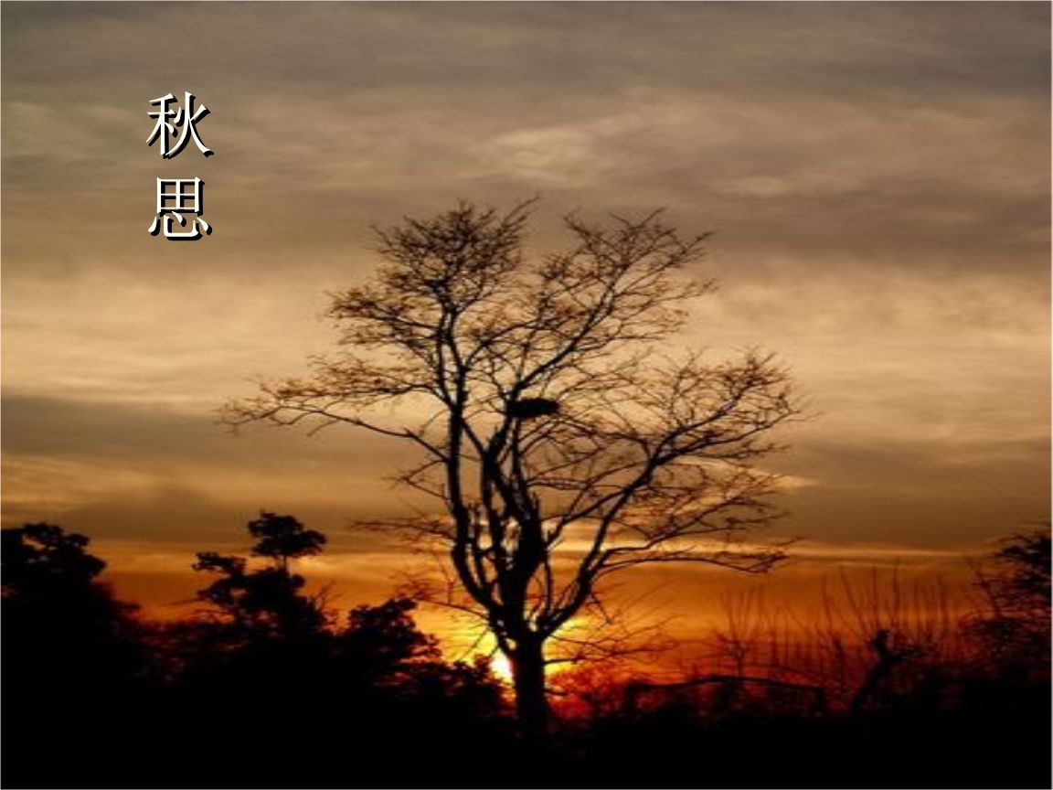 【枫雅汇看图约诗】诗人陈江《199期》（诗词八首）（图6）